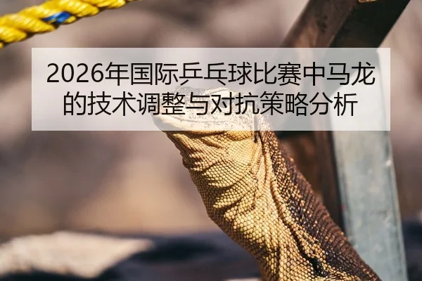 2026年国际乒乓球比赛中马龙的技术调整与对抗策略分析