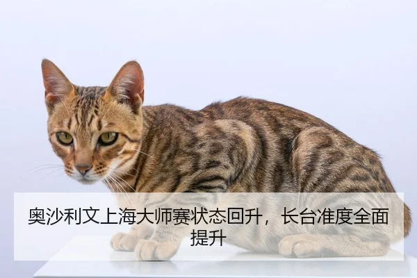 奥沙利文上海大师赛状态回升，长台准度全面提升