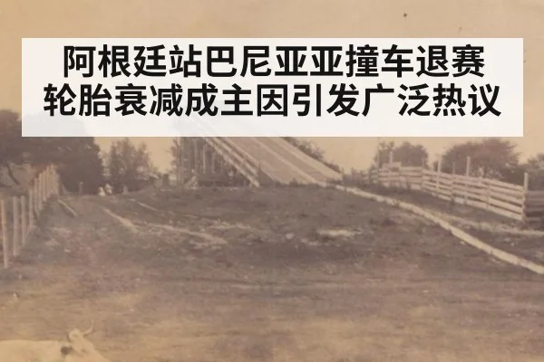 阿根廷站巴尼亚亚撞车退赛 轮胎衰减成主因引发广泛热议